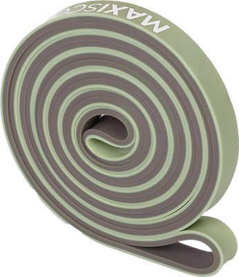 Эспандер Maxiscoo Fit 10-20кг / MSF-FR-320524-1020-MN - фото