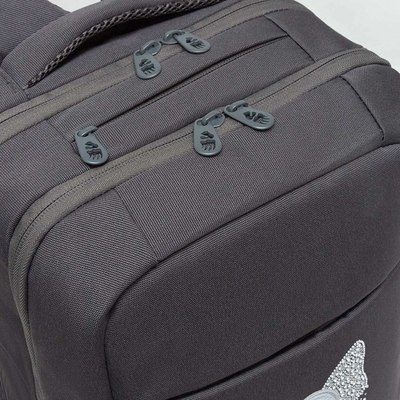 Рюкзак Grizzly RD-544-3