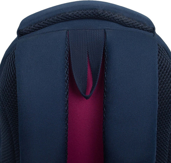 Школьный рюкзак Grizzly RG-562-2