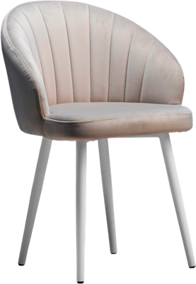 Стул Памир Зефир F81 - фото