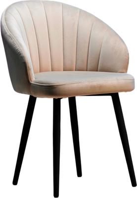 Стул Памир Зефир F06 - фото