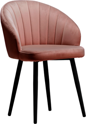 Стул Памир Зефир F62 - фото