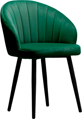 Стул Памир Зефир F74 - фото