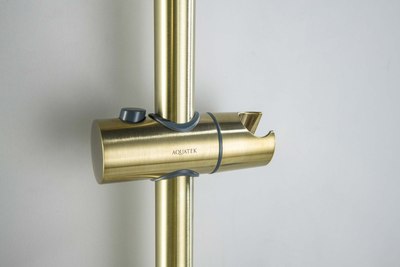 Душевой гарнитур Aquatek Оберон AQ2016BG