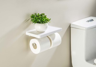 Держатель для туалетной бумаги Aquatek Европа AQ4919CR