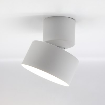 Спот Truenergy 11511