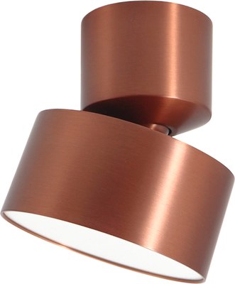 Спот Truenergy 11513 - фото