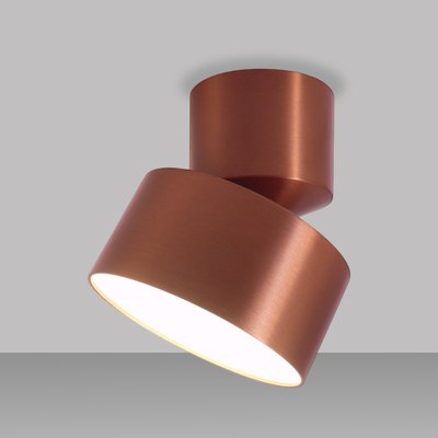 Спот Truenergy 11513