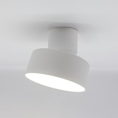 Спот Truenergy 11516