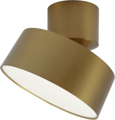 Спот Truenergy 11517 - фото