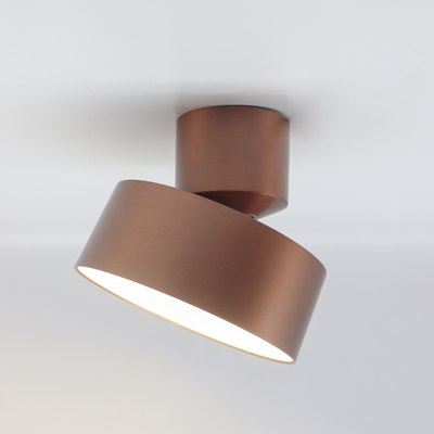 Спот Truenergy 11518