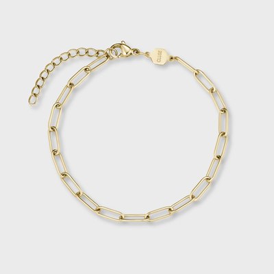 Часы наручные женские Cluse CG10325