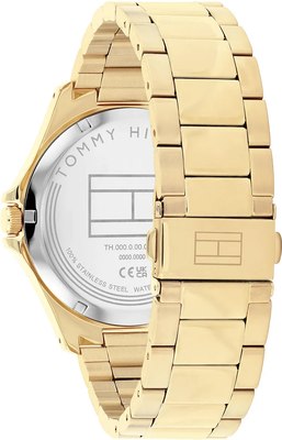 Часы наручные мужские Tommy Hilfiger 1710679