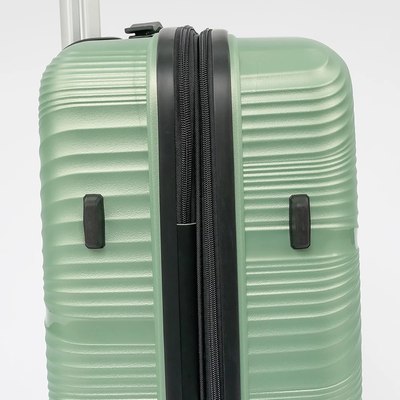 Чемодан на колесах Francesco Molinary 338-1158/3-20MNT