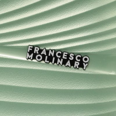 Чемодан на колесах Francesco Molinary 338-1158/3-24MNT