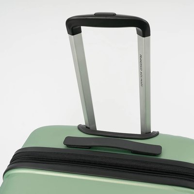 Чемодан на колесах Francesco Molinary 338-1158/3-24MNT