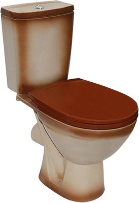 Унитаз напольный Rosa Соло 537378 - фото