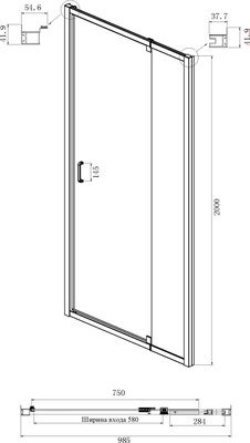 Душевая дверь Ambassador Elysium 100x200 / 111021104KX