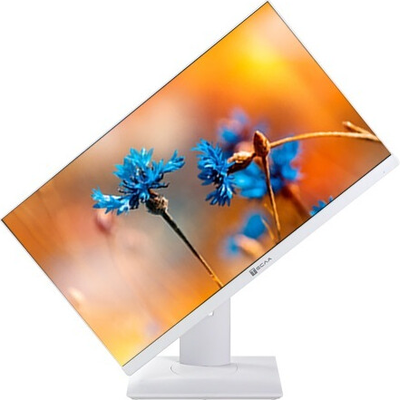 Моноблок Тесла P24WP / 2116500