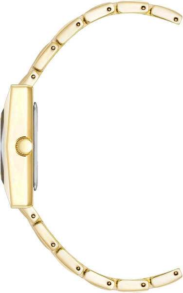 Часы наручные женские Anne Klein AK/5072BKGB
