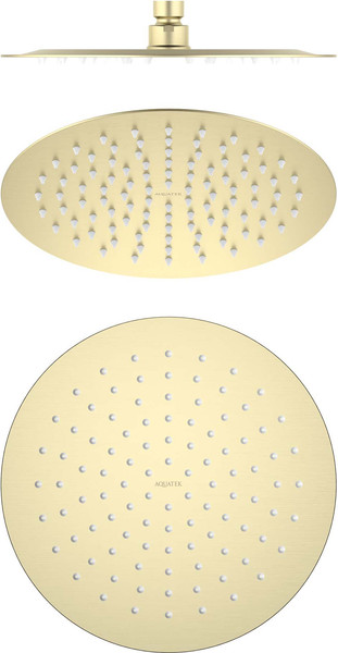 Лейка верхнего душа Aquatek AQ2073BG