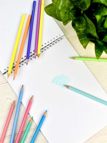 Набор цветных карандашей Феникс+ Пастель / 64101