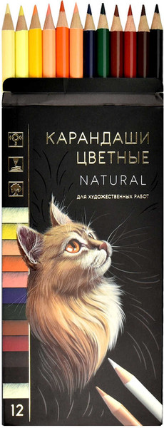 Набор цветных карандашей Феникс+ Натурель / 64103 - фото
