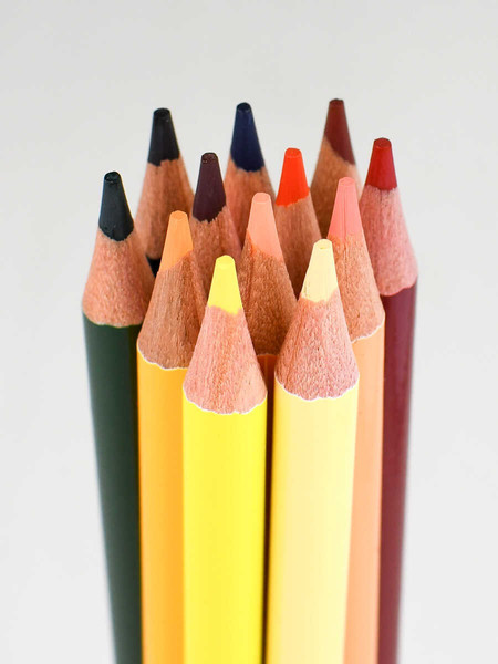 Набор цветных карандашей Феникс+ Натурель / 64103