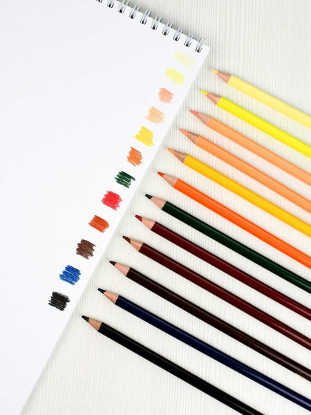 Набор цветных карандашей Феникс+ Натурель / 64103