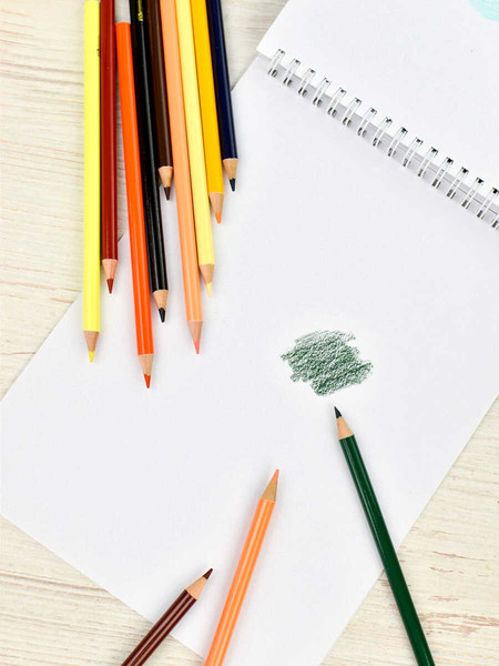 Набор цветных карандашей Феникс+ Натурель / 64103