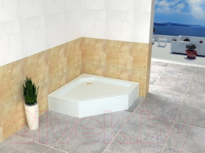 Экран для душевого поддона RGW 16230413-80