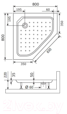 Экран для душевого поддона RGW 16230413-80
