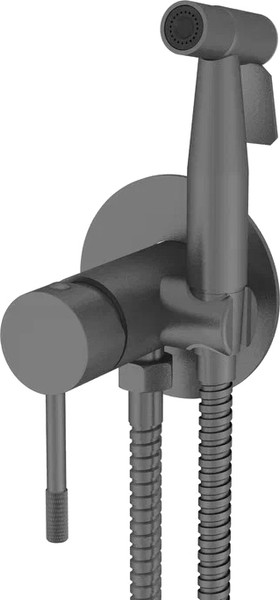 Гигиенический душ Vieir V403553G - фото