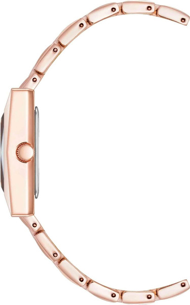 Часы наручные женские Anne Klein AK/5072RGRG