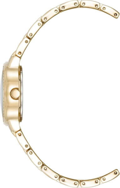 Часы наручные женские Anne Klein AK/5104MPGB