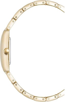 Часы наручные женские Anne Klein AK/5114SVGB