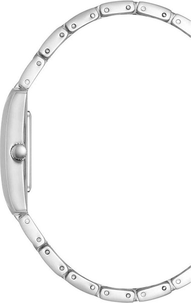 Часы наручные женские Anne Klein AK/5115SVSV