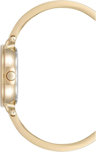 Часы наручные женские Anne Klein AK/5116ABST