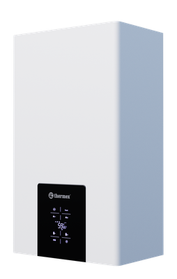Газовый котел Thermex Blaze FH24