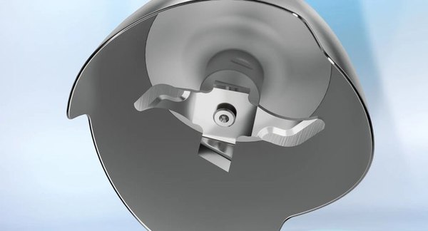 Блендер погружной Bosch MSM4B621 (черный)