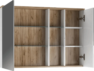 Шкаф с зеркалом для ванной Домино Fortuna 100 / DF3107HZ