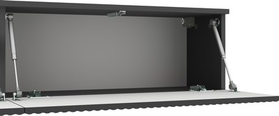 Тумба Anrex Santi 2D