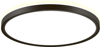 Потолочный светильник Citilux Norma CL749321 - фото