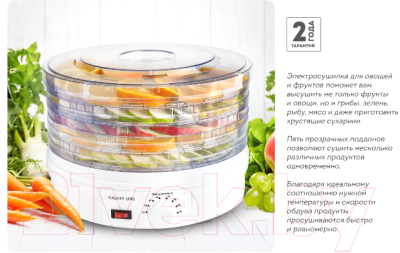 Сушилка для овощей и фруктов Galaxy GL 2633