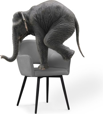 Стул Woodville Ойстер