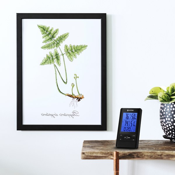 Метеостанция цифровая Vitek VT-3532