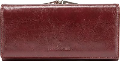 Портмоне Passo Avanti 519-6-2081-2311BRD - фото