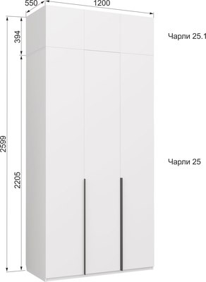 Антресоль Аквилон Чарли №25.1