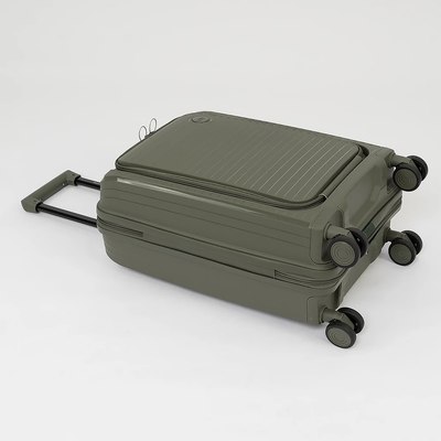 Чемодан на колесах Francesco Molinary 262-PP31/2-20DGN