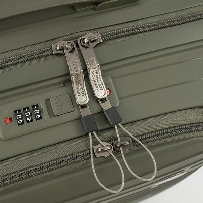 Чемодан на колесах Francesco Molinary 262-PP31/2-20DGN